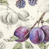 Servietten 25x25 cm - DELICIOUS PLUMS linen