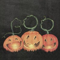 Servietten 25x25 cm - BOO