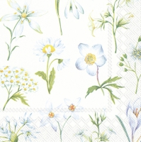 Servietten 25x25 cm - THEA