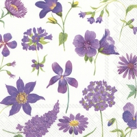 Servietten 25x25 cm - CLEA