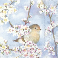 Servietten 25x25 cm - HARMONY Servietten 25x25 cm - HARMONY