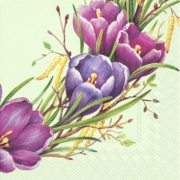 Servietten 25x25 cm - SPRING CIRCLE light green Servietten 25x25 cm - SPRING CIRCLE light green