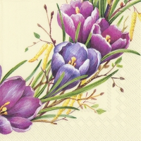 Servietten 25x25 cm - SPRING CIRCLE cream Servietten 25x25 cm - SPRING CIRCLE cream