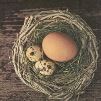 Servietten 25x25 cm - OH MY EGG ... Servietten 25x25 cm - OH MY EGG ...