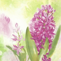 Servietten 25x25 cm - HYAZINTH Servietten 25x25 cm - HYAZINTH