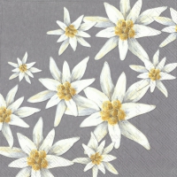 Servietten 25x25 cm - MADELEINE grey