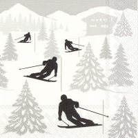 Servietten 25x25 cm - SKI HOLIDAY Servietten 25x25 cm - SKI HOLIDAY