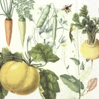 Servietten 25x25 cm - CULINARIX HERBS