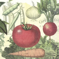 Servietten 25x25 cm - CULINARIX