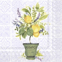 Servietten 25x25 cm - LEMON TREE
