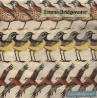 Servietten 33x33 cm - British Birds