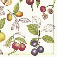 Servietten 33x33 cm - V&B Cascara