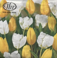 Servietten 33x33 cm - TULIPS Servietten 33x33 cm - TULIPS