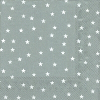Servietten 33x33 cm - LITTLE STARS silver Servietten 33x33 cm - LITTLE STARS silver