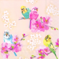 Servietten 33x33 cm - PARAKEETS apricot