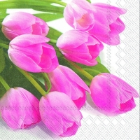 Servietten 33x33 cm - PINK SPRING Servietten 33x33 cm - PINK SPRING