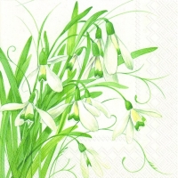 Servietten 33x33 cm - EARLY SNOWDROPS white Servietten 33x33 cm - EARLY SNOWDROPS white
