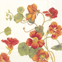 Servietten 33x33 cm - NASTURTIUM cream
