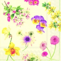 Servietten 33x33 cm - BLOSSOMS cream Servietten 33x33 cm - BLOSSOMS cream