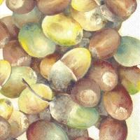 Servietten 33x33 cm - CROP OF ACORNS