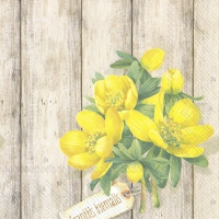 Servietten 33x33 cm - ERANTHIS HYEMALIS Servietten 33x33 cm - ERANTHIS HYEMALIS