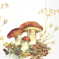 Servietten 33x33 cm - BOLETUS EDULIS