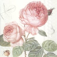 Servietten 33x33 cm - ELISABETH