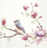 Servietten 33x33 cm - SPRING MELODY white Servietten 33x33 cm - SPRING MELODY white