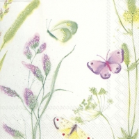 Servietten 33x33 cm - HILDA Servietten 33x33 cm - HILDA