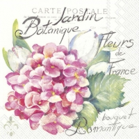 Servietten 33x33 cm - JARDIN BOTANIQUE light rose