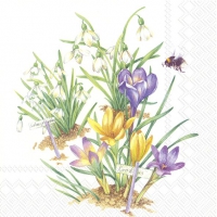 Servietten 33x33 cm - PRIMAVERA Servietten 33x33 cm - PRIMAVERA