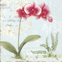 Servietten 33x33 cm - L´ORCHIDÉE light blue