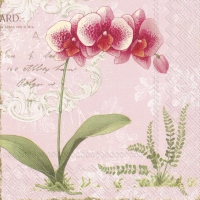 Servietten 33x33 cm - L´ORCHIDÉE light rose