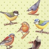 Servietten 33x33 cm - BIRDS AND DOTS green