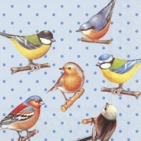 Servietten 33x33 cm - BIRDS AND DOTS blue