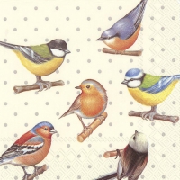 Servietten 33x33 cm - BIRDS AND DOTS cream