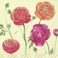 Servietten 33x33 cm - BUTTERCUPS light green Servietten 33x33 cm - BUTTERCUPS light green