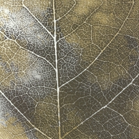 Servietten 33x33 cm - THE LEAF gold