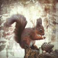 Servietten 33x33 cm - SQUIRREL´S LUNCH