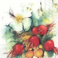 Servietten 33x33 cm - ROSEHIPS