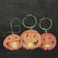Servietten 33x33 cm - BOO