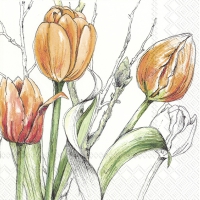 Servietten 33x33 cm - COLOURFUL TULIPS orange Servietten 33x33 cm - COLOURFUL TULIPS orange