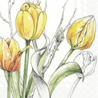 Servietten 33x33 cm - COLOURFUL TULIPS yellow Servietten 33x33 cm - COLOURFUL TULIPS yellow