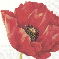 Servietten 33x33 cm - MONA