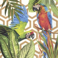 Servietten 33x33 cm - TROPICAL PARROTS copper
