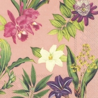 Servietten 33x33 cm - FLOWERS OF PARADISE apricot