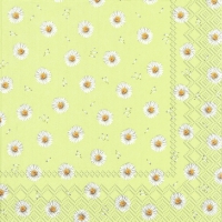 Servietten 33x33 cm - BETTY light green