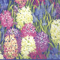 Servietten 33x33 cm - HYAZINTH´S MELODIES
