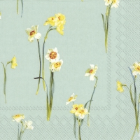 Servietten 33x33 cm - ELEGANT NARCISSUS light blue