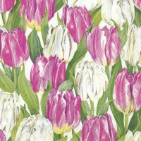 Servietten 33x33 cm - MODERN TULIPS